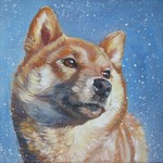 Портрет собаки Сиба-ину