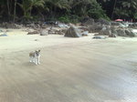 Тайский банкев на пляже